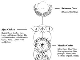 I chakra: definizione, simbologia e significato corrispondente